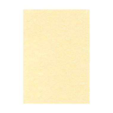 Blister 10 fg a3 pergamena avorio gr.160