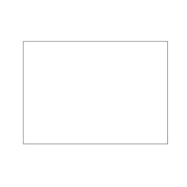 BRISTOL BIANCO LISCIO 200GR F125 70x100 SIGILLO