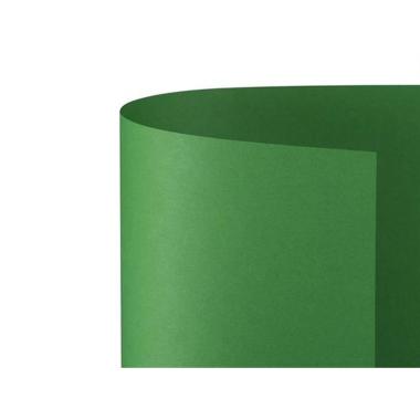 Bristol 70x100 prisma 220gr verde fg10
