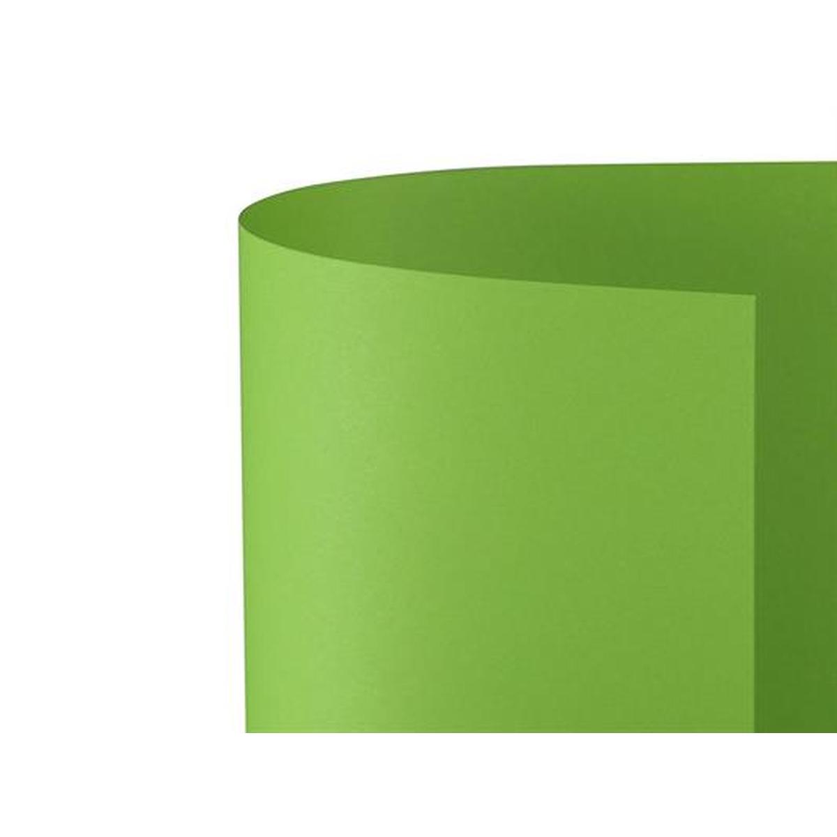 Bristol 70x100 prisma 220gr pistacchio fg10