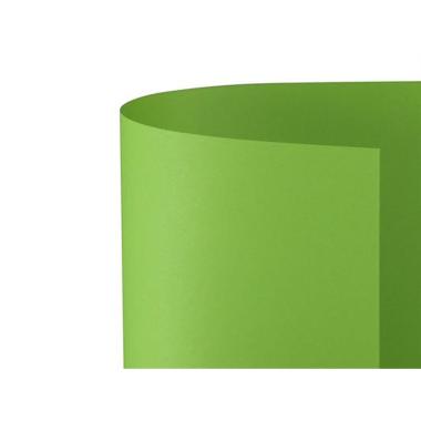 Bristol 70x100 prisma 220gr pistacchio fg10