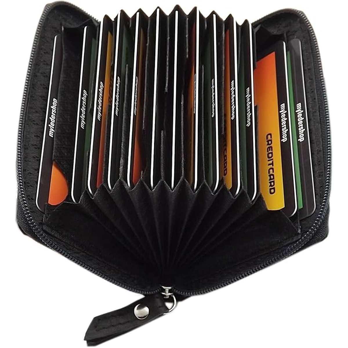 Cardbook - portacard 12 scomparti cf24 classic