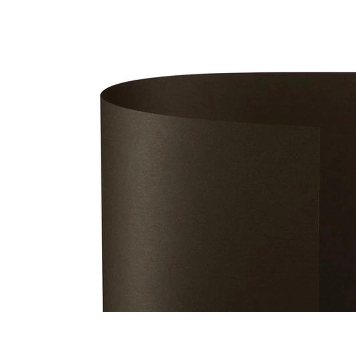 Bristol 70x100 prisma 220gr marrone fg10