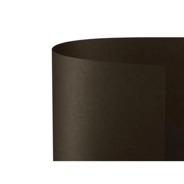 Bristol 70x100 prisma 220gr marrone fg10