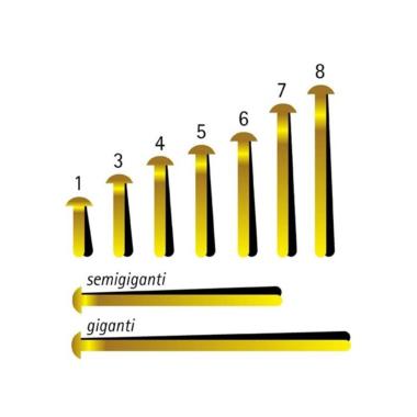 FERMACAMPIONI NR. 7 BLISTER DA 100pz