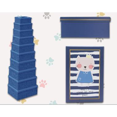Set 10 scatole blu cat