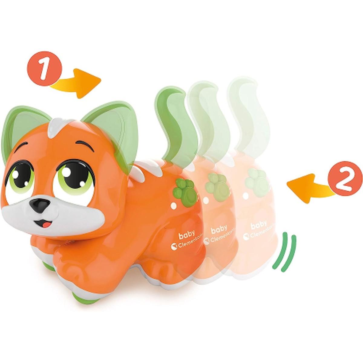 Cercacoccole gattino