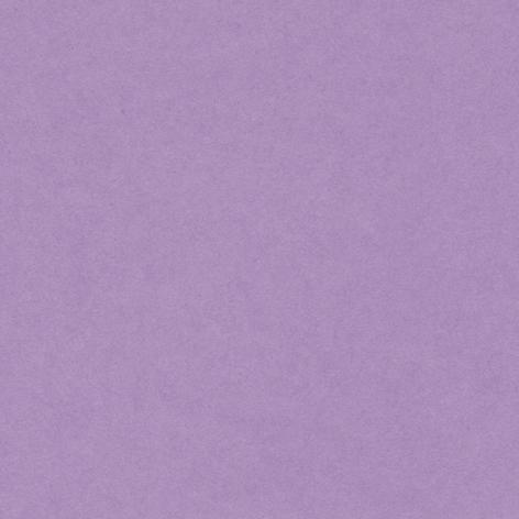 Bristol colorline 50x70 gr.220 fg.25 lilla