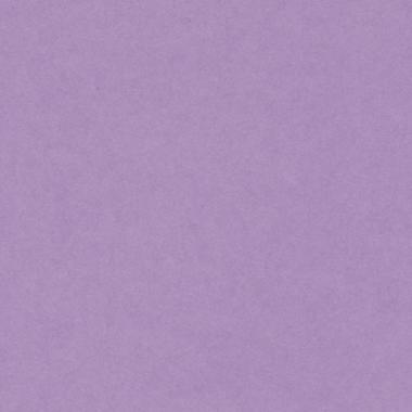 Bristol colorline 50x70 gr.220 fg.25 lilla