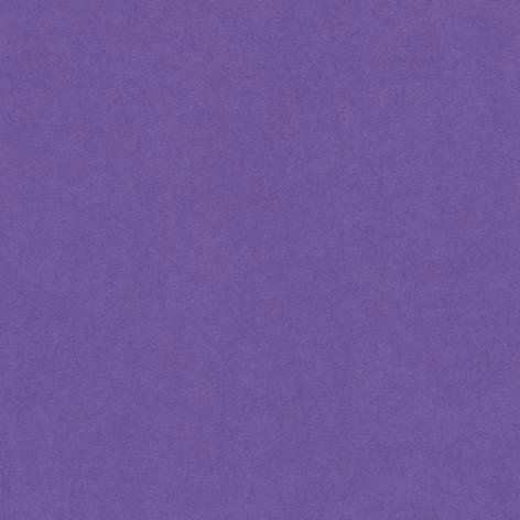 Bristol colorline 50x70 gr.220 fg.25 viola