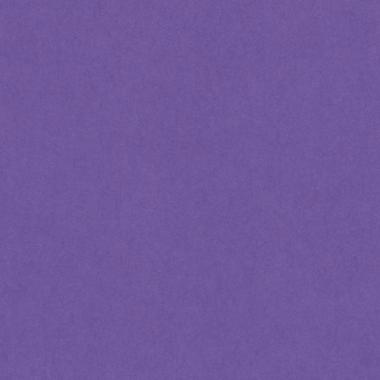 Bristol colorline 50x70 gr.220 fg.25 viola