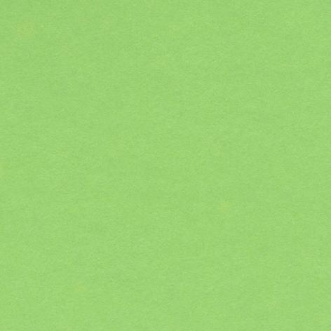 Bristol colorline 50x70 gr.220 fg.25 verde mela