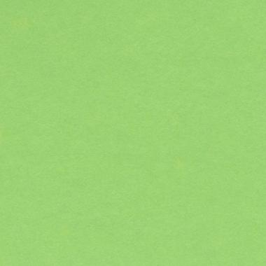 Bristol colorline 50x70 gr.220 fg.25 verde mela