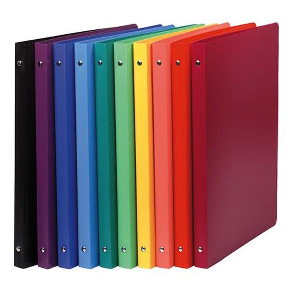 Raccoglitore pp 4 anelli d.16