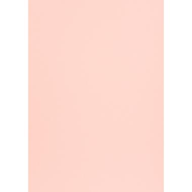 Blister 50 fg a4 gr.225 cipria woodstock