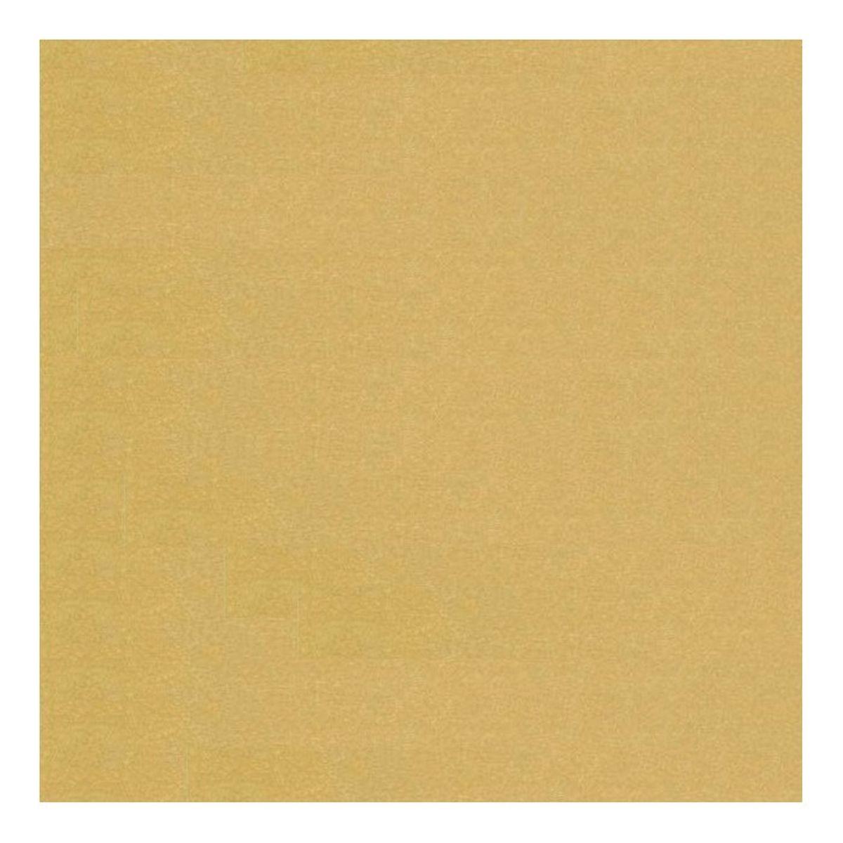 CARTONCINO METALLICA 70X100 290 GR. CF5<br />