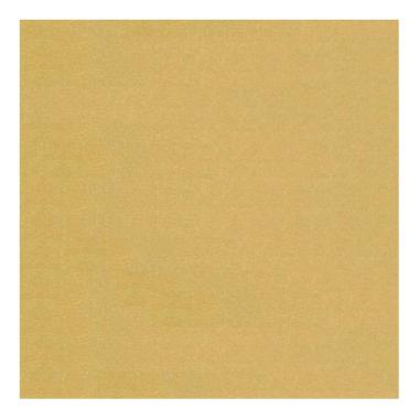 CARTONCINO METALLICA 70X100 290 GR. CF5<br />