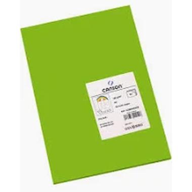 Foglio vivaldi a3 185 gr  50fg  verde brillante