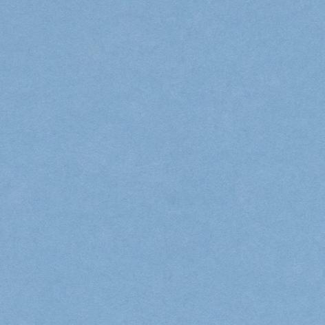 Bristol colorline 50x70 gr.220 fg.25 azzurro