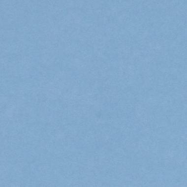 Bristol colorline 50x70 gr.220 fg.25 azzurro