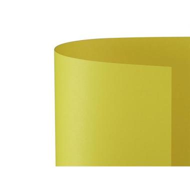 Bristol 50x70 prisma 220gr giallo 02 fg20