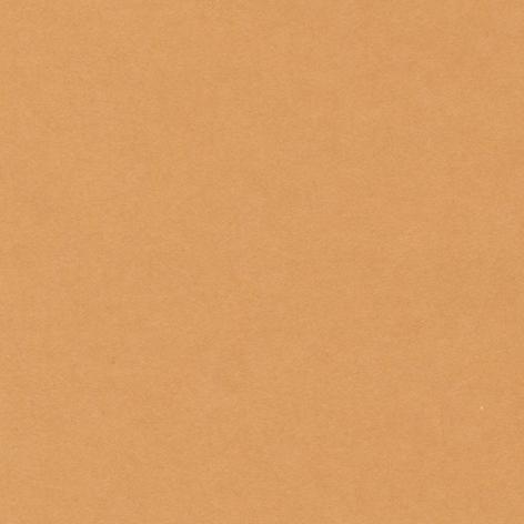 Bristol colorline 50x70 gr.220 fg.25 beige scuro