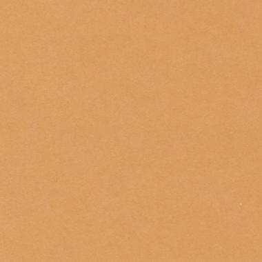 Bristol colorline 50x70 gr.220 fg.25 beige scuro