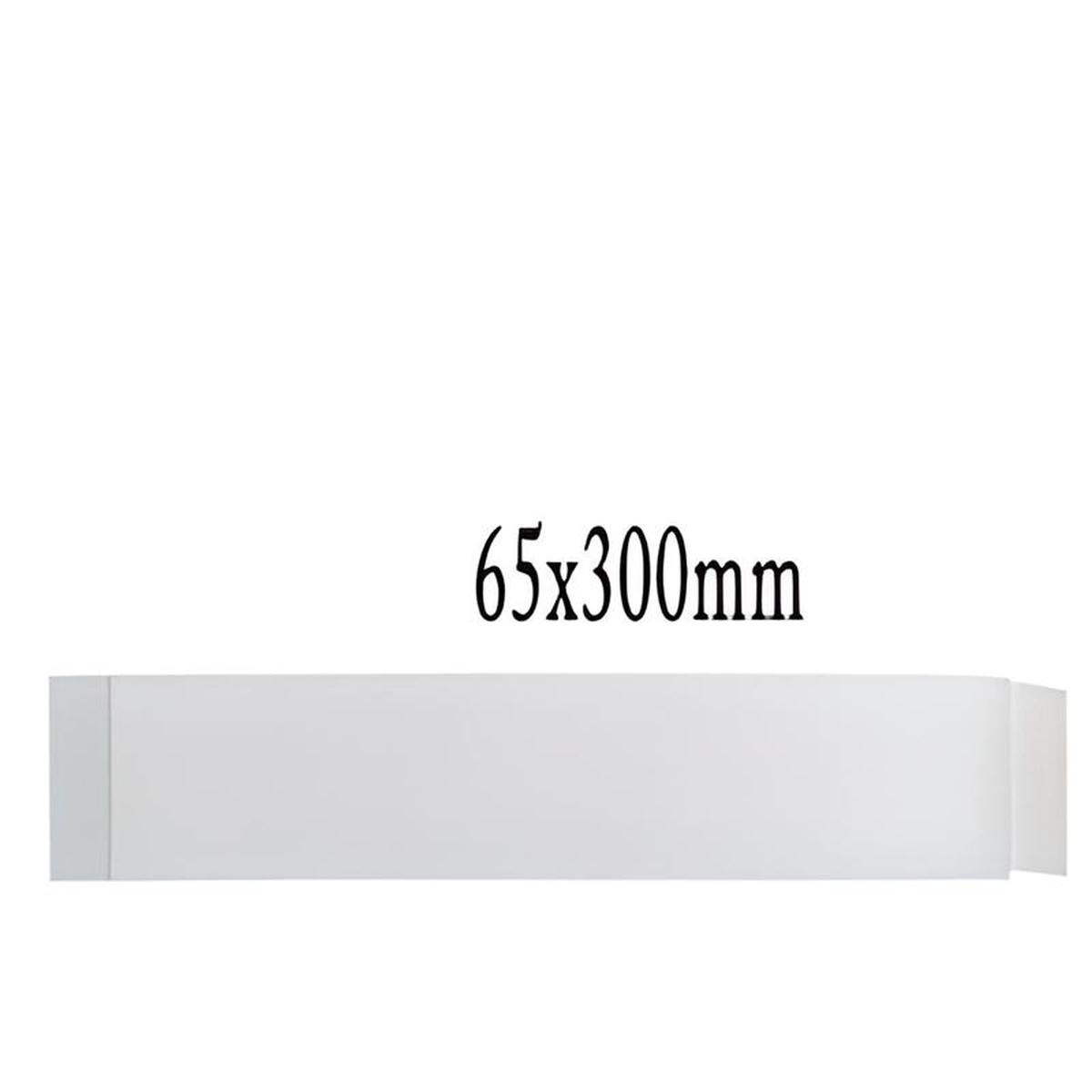 Ies l65 completa f.to 65x300 pz.10