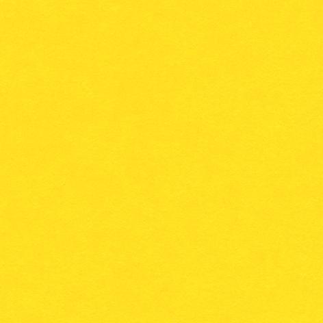 Bristol colorline 50x70 gr.220 fg.25 giallo oro