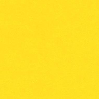 Bristol colorline 50x70 gr.220 fg.25 giallo oro