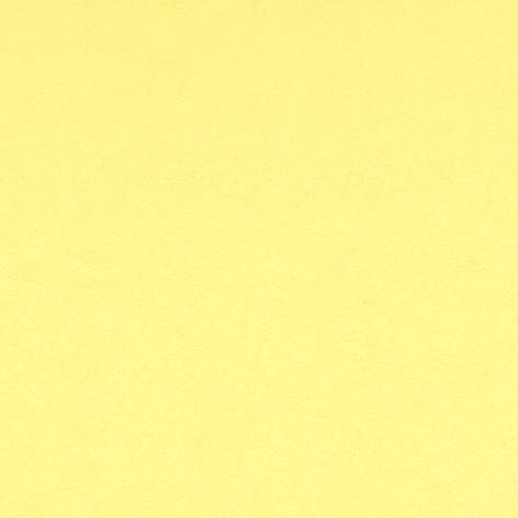 Bristol colorline 50x70 gr.220 fg.25 giallo chiaro
