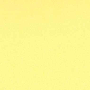 Bristol colorline 50x70 gr.220 fg.25 giallo chiaro